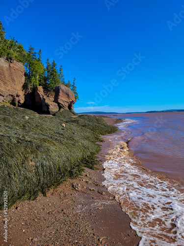 Cliff at Hopewell Rocks Park in New-Brunswick