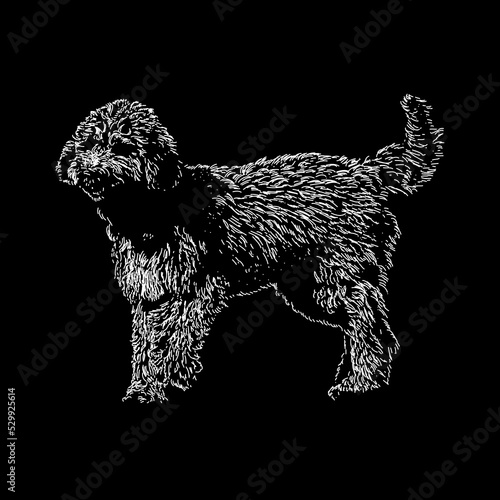 Irish Doodle hand drawing vector illustration isolated on black background