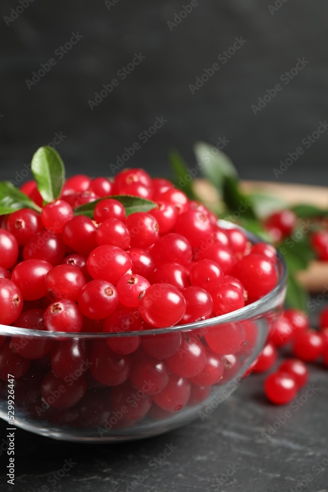 Fresh cranberry in bowl on dark grey table, closeup Fresh cranberry in bowl on dark grey table, closeup