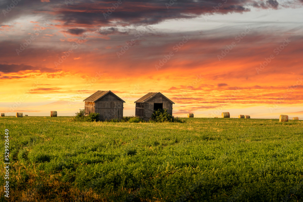 A pair of old barns on a wheat field with round hay bales at sunrise on the Canadian prairies in Rocky View County Alberta A pair of old barns on a wheat field with round hay bales at sunrise on the Canadian prairies in Rocky View County Alberta