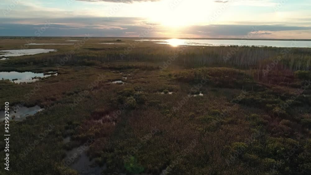 Aerial landscape in rural area. Drone flies over the green grass in marshland. Beautiful morning. Little ponds with sky reflections on the surface. Aerial landscape in rural area. Drone flies over the green grass in marshland. Beautiful morning. Little ponds with sky reflections on the surface.
