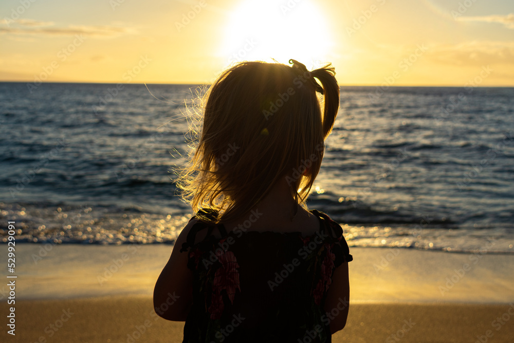 Fototapeta premium Hawaiian Family