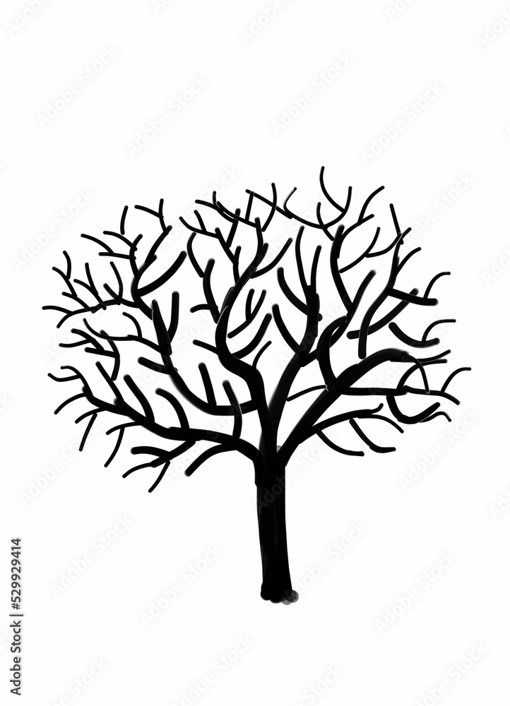 Obraz premium Leafless black tree with white background 