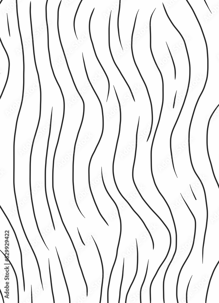Fototapeta premium black lines on white background
