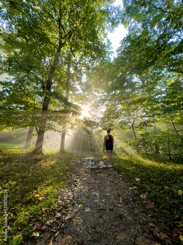 Person walking dog in misty morning forest sunlight rays shining through trees. 