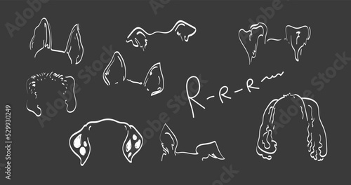 dog ears set vector doodle