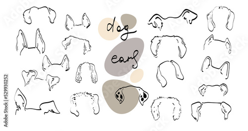 Pet dog Ears Outline Drawing doodle sketch vector icon illustration