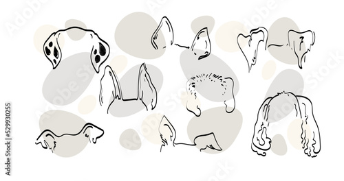 Pet dog Ears tattoo Outline Drawing doodle sketch vector icon illustration