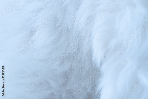 beautiful fluffy white fur background texture