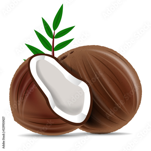 3D realistic isolated vector set of whole coconut, coconut halves and palm leaves