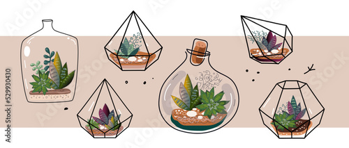 set of  terrarium flowers vector doodle