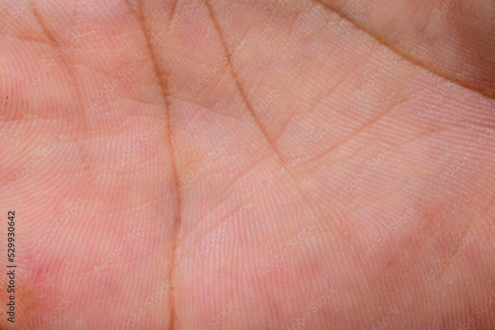 human palm texture close-up abstract background human palm texture close-up abstract background