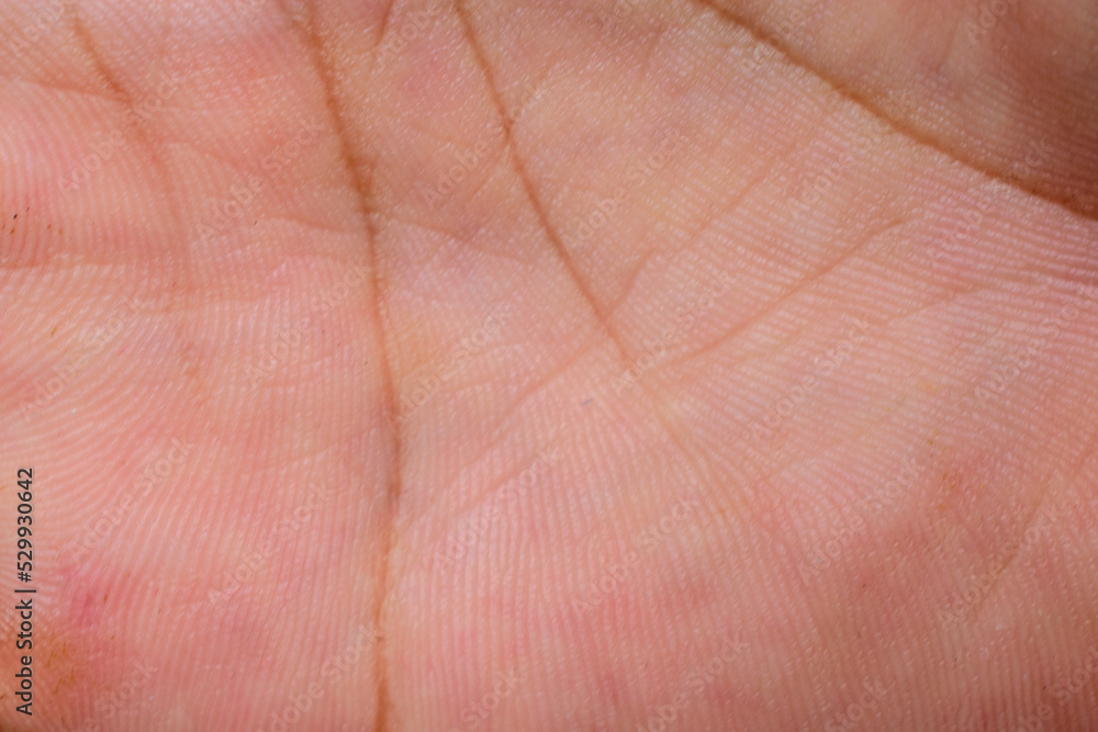 human palm texture close-up abstract background