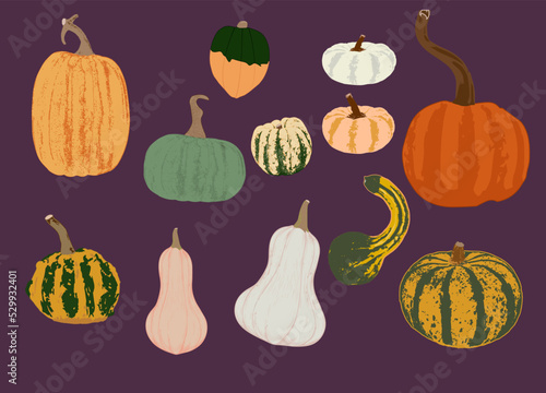 Collection of Fall Gourds & Pumpkins