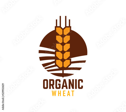Bakery shop emblem. Wheat, oat, barley, millet cereal ears. Organic wheat farm vector symbol. Agriculture, farming company and food store icon, bakehouse or pastry shop sign with wheat, rye ear