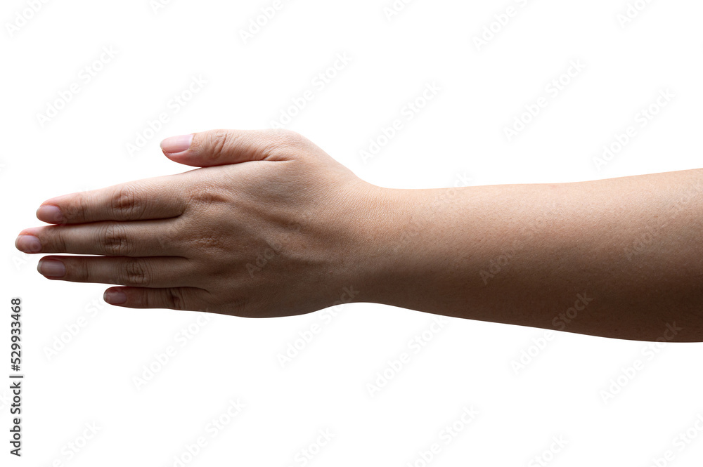 Women hand reach and ready to help or receive. Gesture isolated.