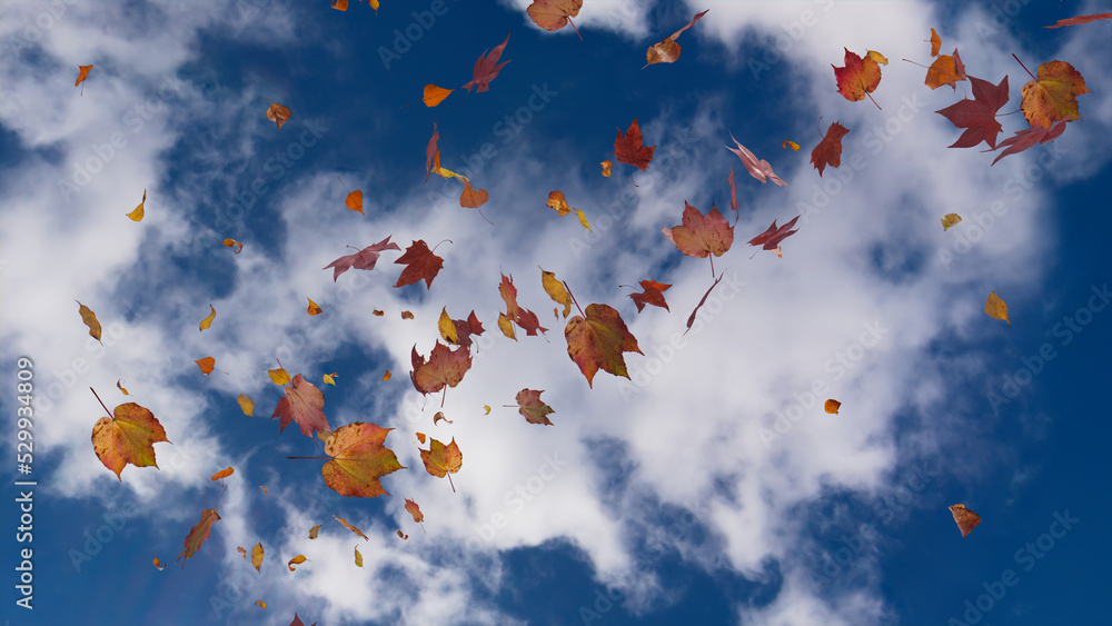 Seasonal Wallpaper with Fall Leaves blowing in the wind. Cloudy Sky