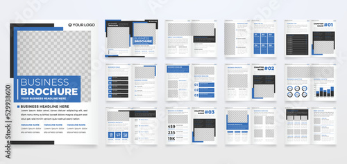 corporate brochure template use for annual report and company profile
