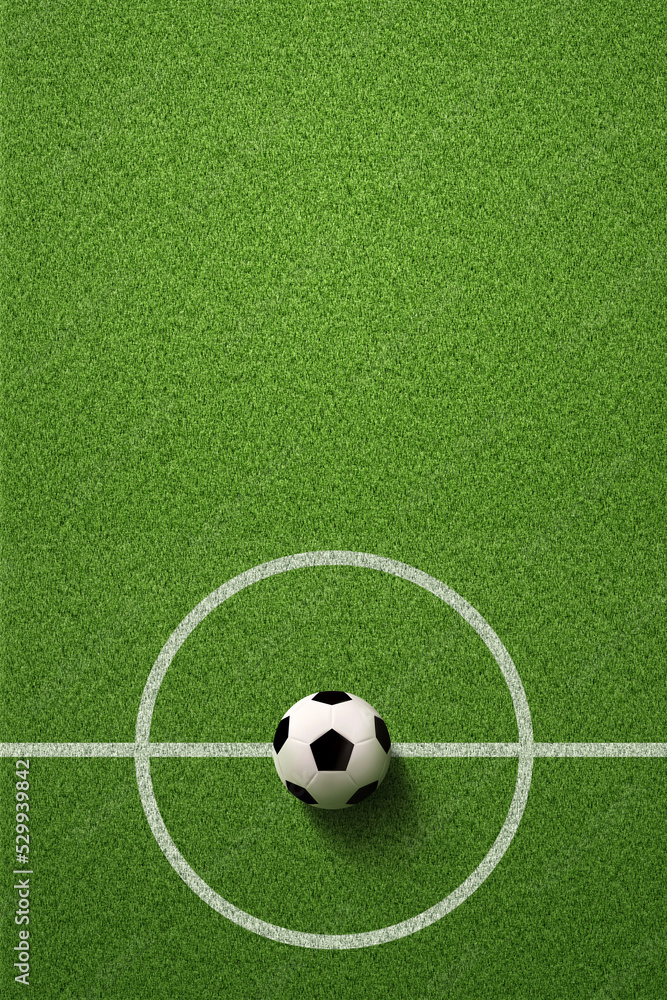 Soccer field or Football field with soccer ball on green grass background - obrazy, fototapety, plakaty 