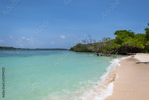 Tropical beach with aquatic vegetation in Cayo Azul (National Park of Morrocoy, Venezuela). © Giongi63