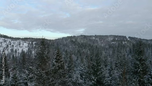 Dronefootage of a winter forest photo