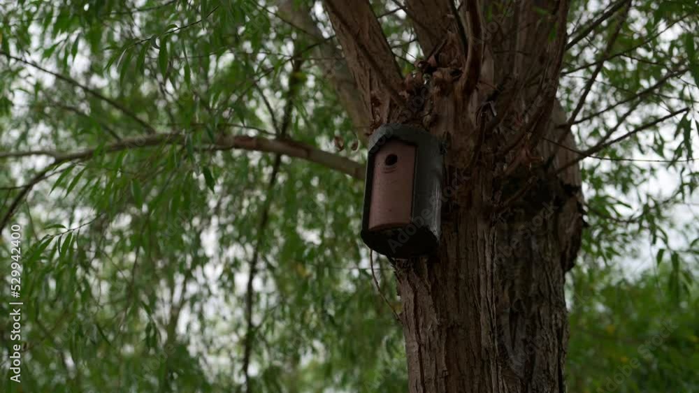 Wooden birdhouse on a tree, slow pan, no people Wooden birdhouse on a tree, slow pan, no people
