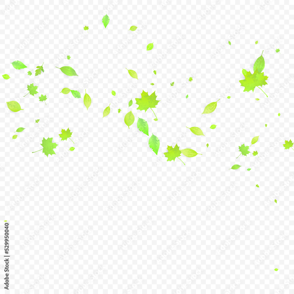 Obraz premium Leaves Falling Spring Flying Foliage Green Leaf