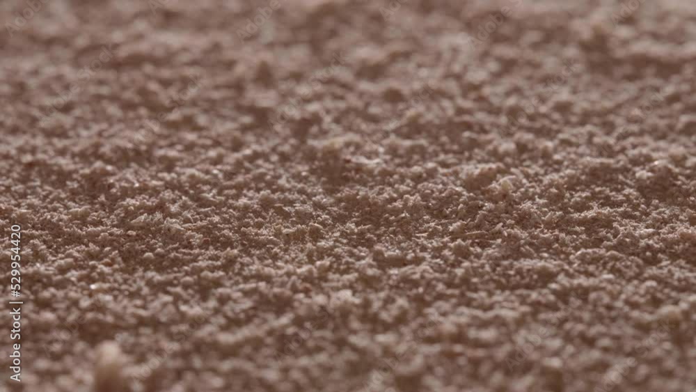 Accumulated Sawdust Of Wood Shavings Inside Workshop. Closeup, Macro Accumulated Sawdust Of Wood Shavings Inside Workshop. Closeup, Macro