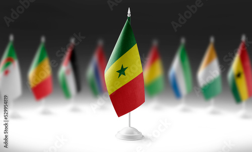 The national flag of the Senegal on the background of flags of other countries © butenkow