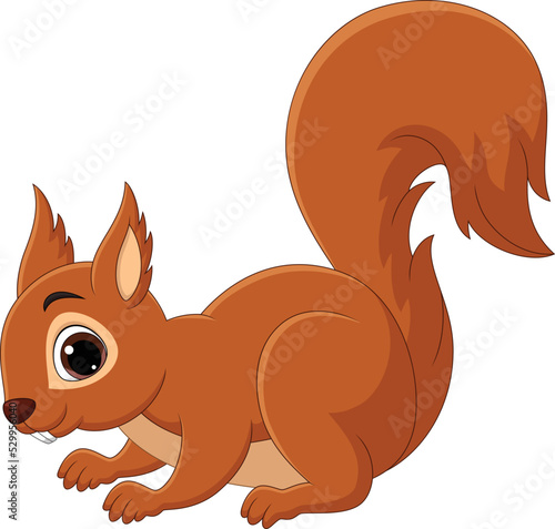 Cartoon happy squirrel isolated on white background