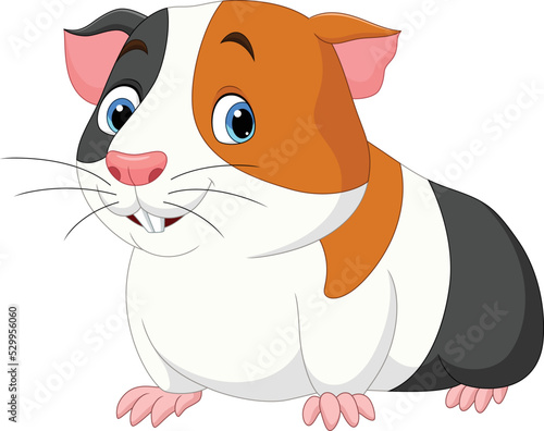 Cartoon cute guinea pig on white background