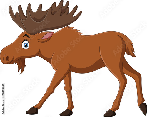 Cartoon moose on white background