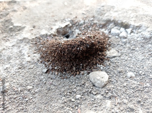a photo of the hole from the ant house on the ground