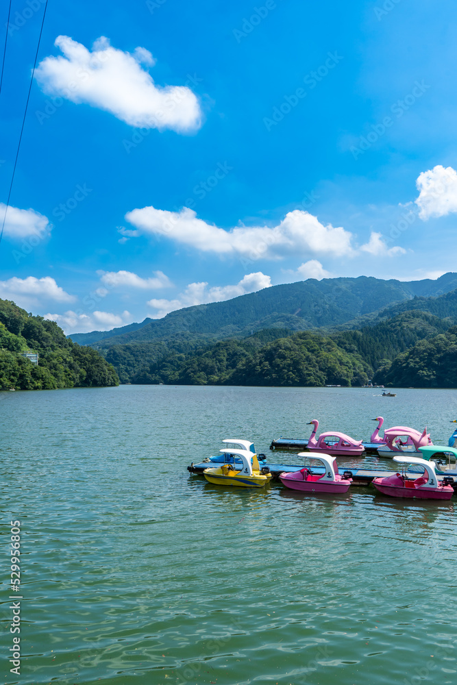 夏の日本の相模湖に浮かぶボート
