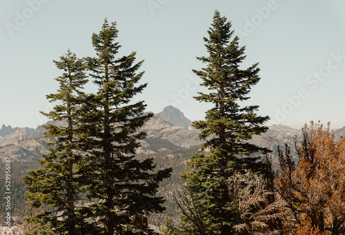 Mammoth Lakes, California
