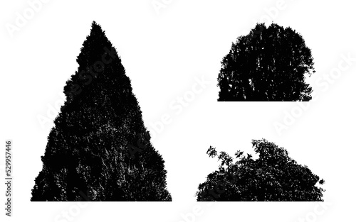 Bush Silhouette Black Vector