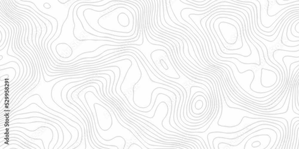 White paper texture abstract pattern with lines topographic map background. Line topography map contour background, geographic grid. Abstract vector illustration.	