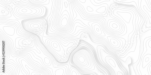 White paper texture abstract pattern with lines topographic map background. Line topography map contour background, geographic grid. Abstract vector illustration. 