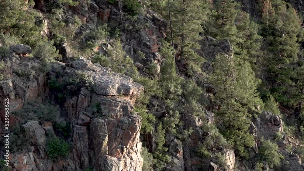 Rocky mountain ridge with boulders and pine trees in Colorado, Handheld wide shot