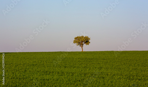 A landscape photo from Ovacık district in Tunceli photo