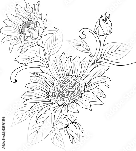 Flowers branch of sunflower Hand drawing  vector illustration Vintage design elements bouquet floral tattooing natural collection leaf with buds isolated coloring pages.