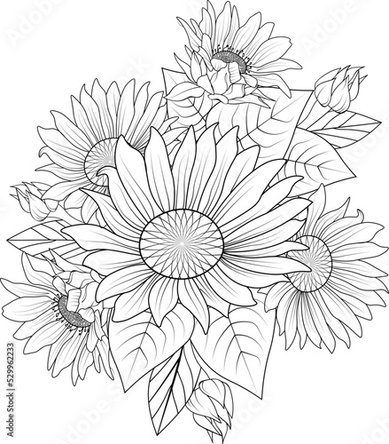 Set of decorative stylized outline sunflower isolated on white background. Highly detailed vector sketch illustration  doodling and zentangle style  tattoo design  bouquet of  floral coloring page. 