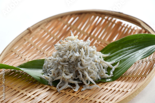 Εκτύπωση καμβά Kamaage shirasu (Boiled whitebait) in bamboo colander-Japanese Food
