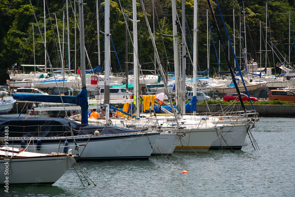 Scenery of a tranquil yacht harbor.