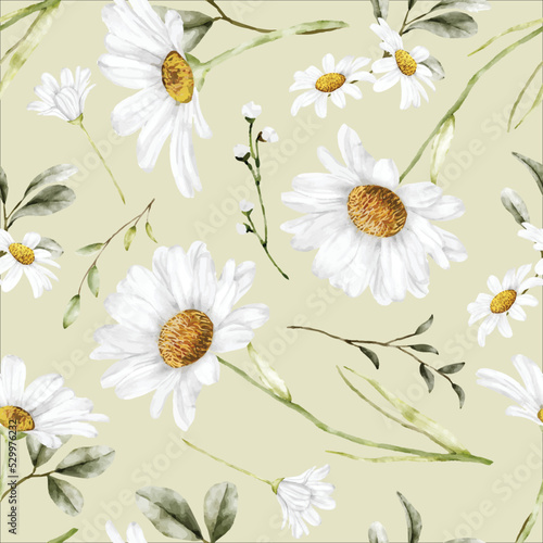 beautiful watercolor daisy flower seamless pattern