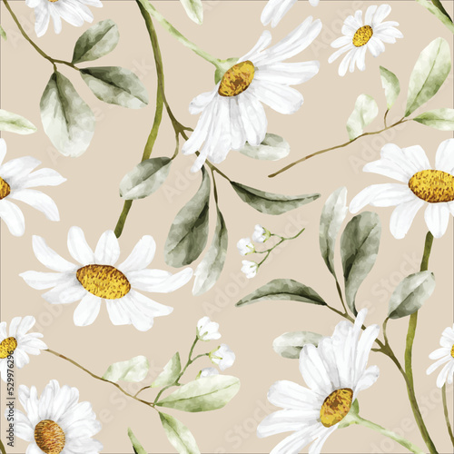 beautiful watercolor daisy flower seamless pattern