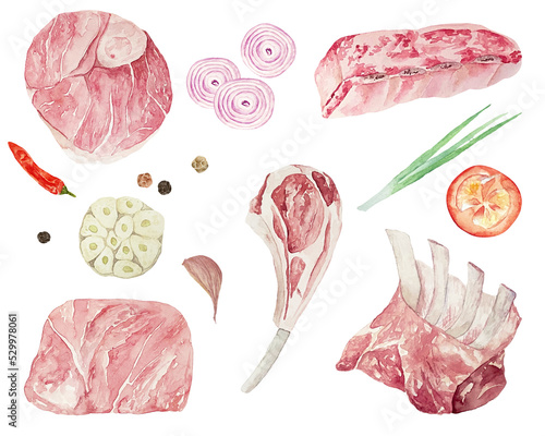 Watercolor composition with a various raw meat, beef steaks lamb, veal, spareribs, forcemeat, sausages with fresh tomatos, onions and garlic.
