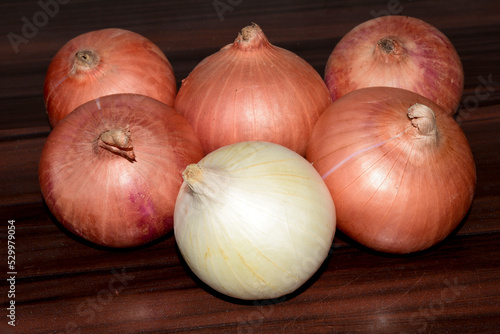 Yellow and white onions on dark wooden background