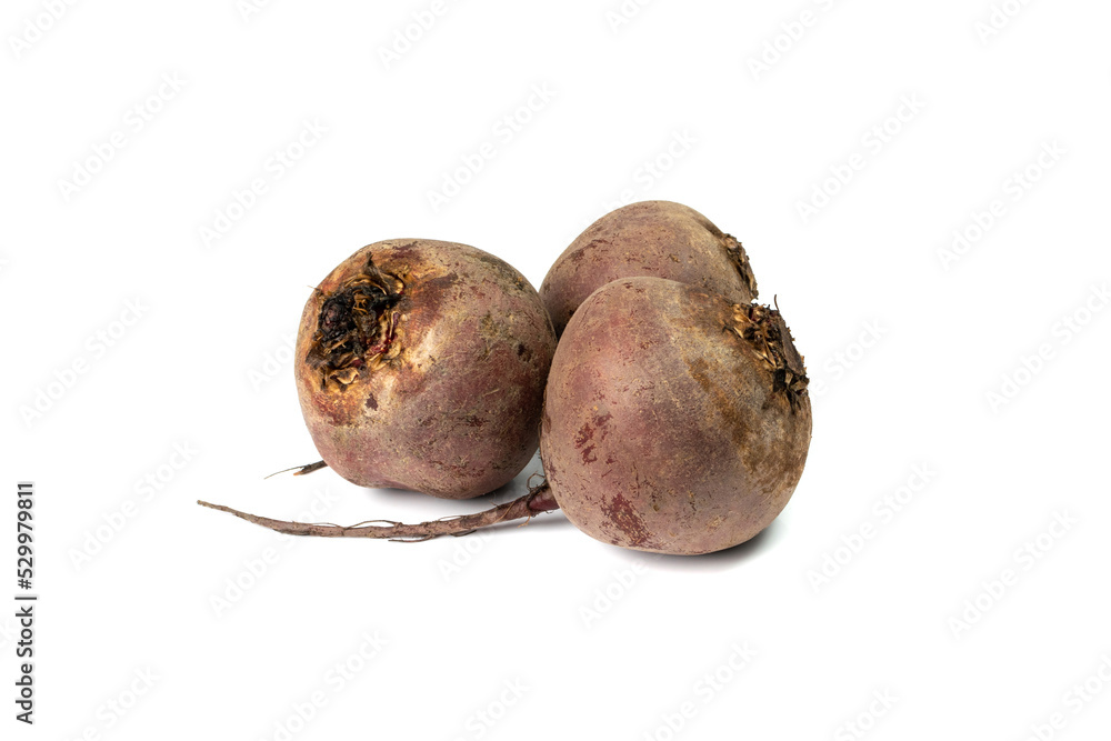 Whole Beet Root, Beetroot, Red Beets, Raw Beet Isolated Whole Beet Root, Beetroot, Red Beets, Raw Beet Isolated