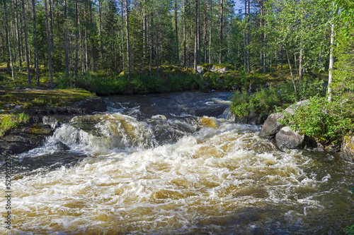 Rapids on the Karelian river. photo